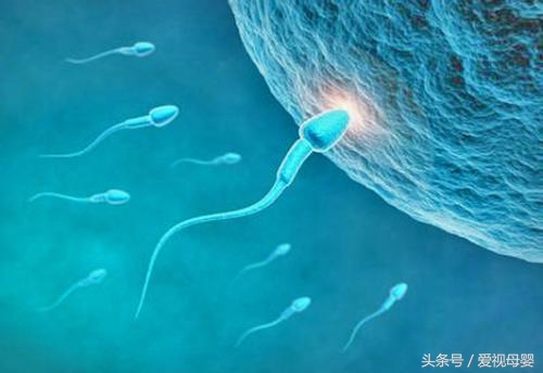 生男生女可以自己决定吗在线阅读,生男生女真的能自己决定吗