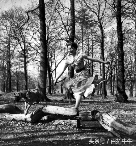奥黛丽赫本的优雅永不过时抖音,优雅女人代表人物