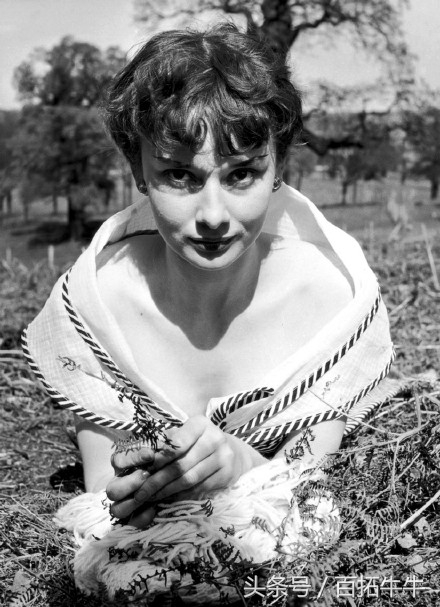 奥黛丽赫本的优雅永不过时抖音,优雅女人代表人物