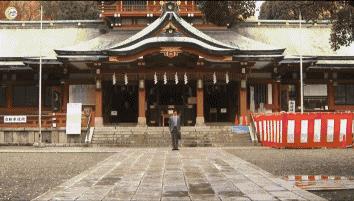 荐剧｜做不了最美花仙子，那就做一只最最欢脱的奇葩吧