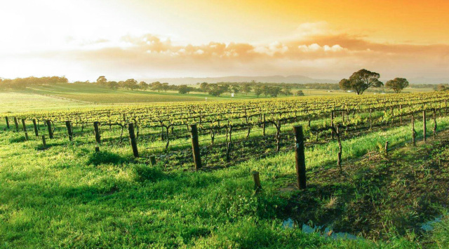 天大的骗局,天大谎言被拆穿