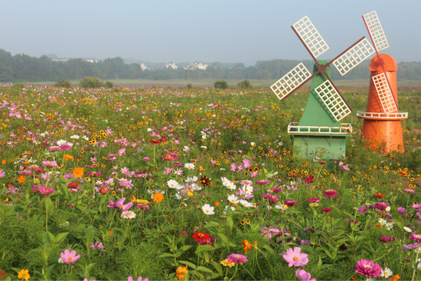 北戴河的鸽子窝公园,北戴河鸽子窝公园之旅