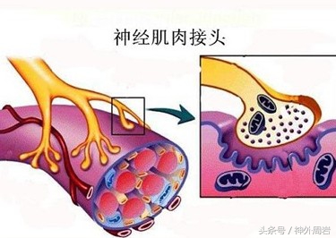 面肌痉挛轻微一直不治疗可以吗,面肌痉挛手术后耳朵听不到怎么办