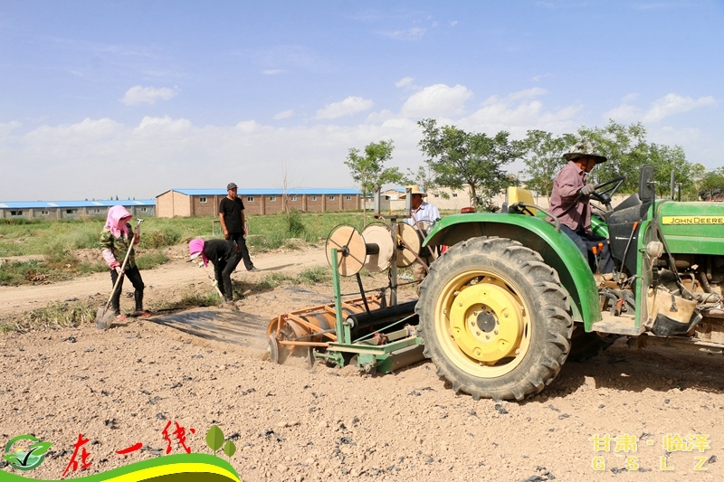 培育新型农业经营主体,农业转型托起农民致富梦