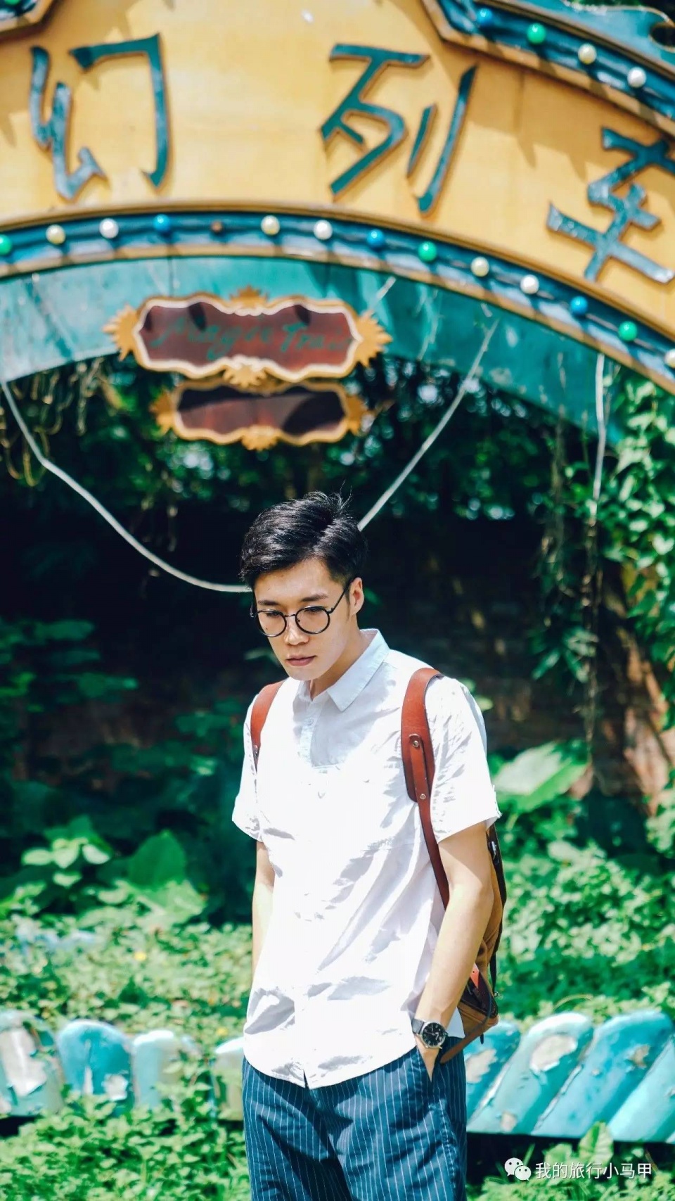 珠海长隆野生动物园旅游攻略,广州长隆自驾游旅游攻略