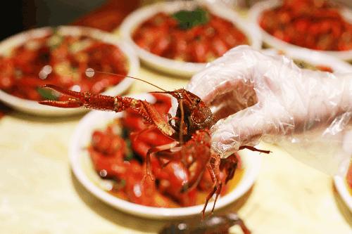 别再天天吃水煮菜了酸汤肥牛,龙虾饭有营养嘛