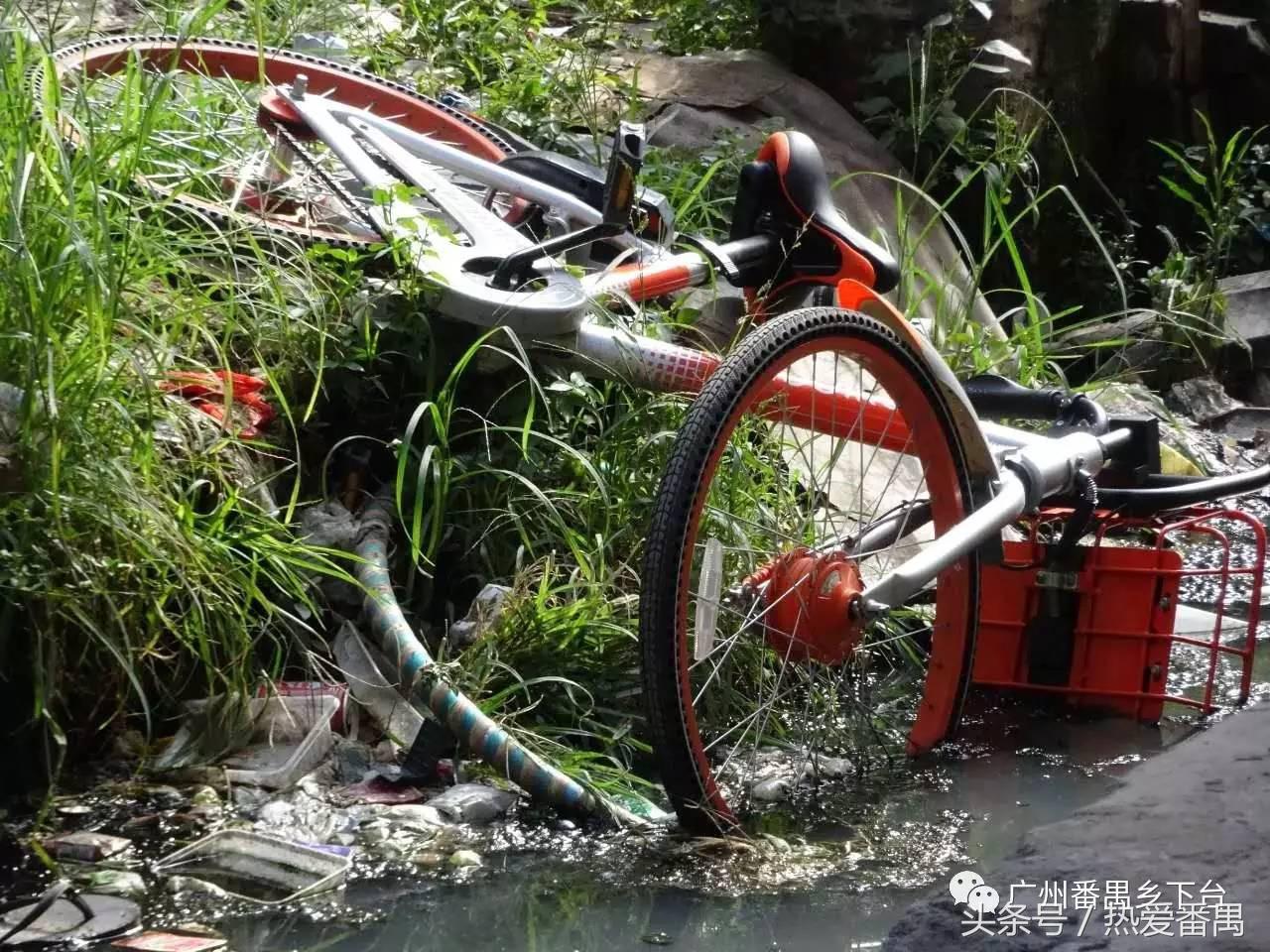 洛溪大桥为啥有个名字,洛溪大桥为什么叫洛溪大桥