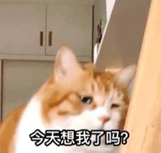 马云爸爸给河南人的福利,马云爸爸发的福利是券吗