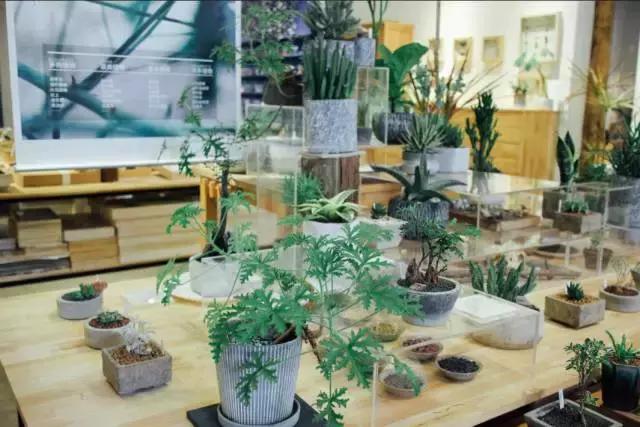 不泡酒吧泡茶社，成都这6家文艺茶社里藏着年轻人的诗和远方