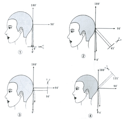 修剪发尖教程,三角梅修剪方法和技巧