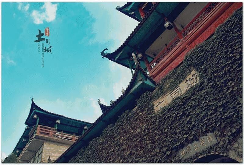 众筹农业种植项目,恩施咸丰富硒小土豆扶贫