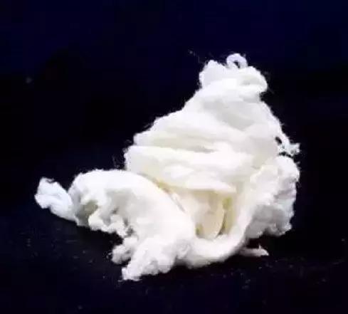 百年前的新材料，烧光了万千妇女的秀发，却拯救了大象推动了摄影