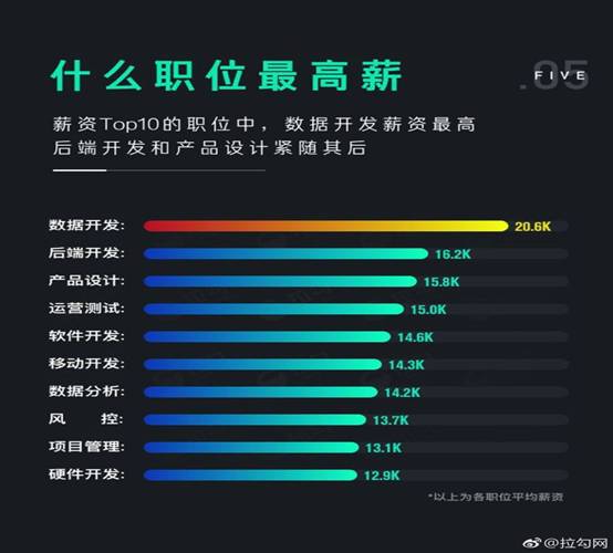 大三一位计算机专业学生的《献给所有迷茫的飞猪》