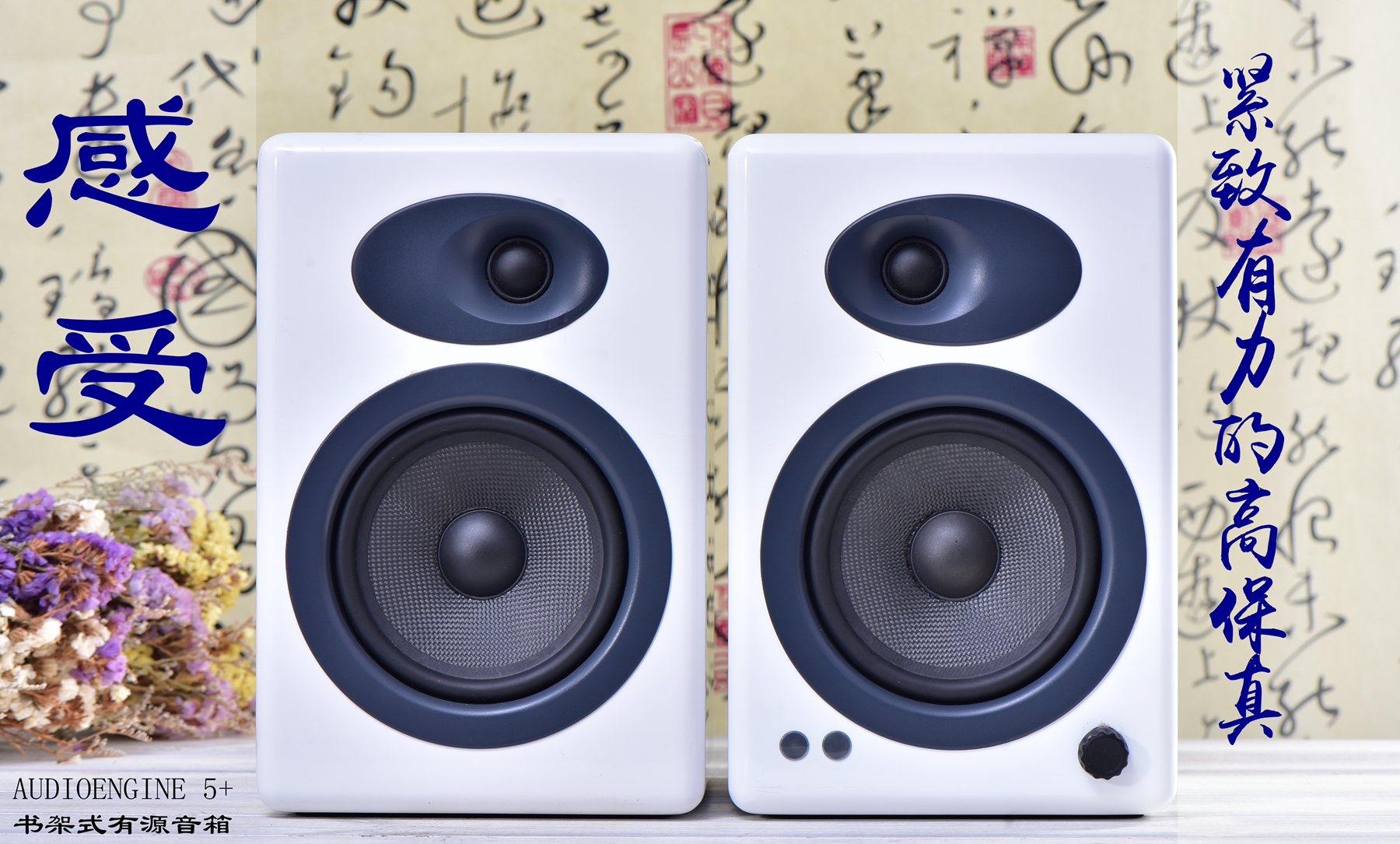 感受震动低音音响,声擎a5音箱评测