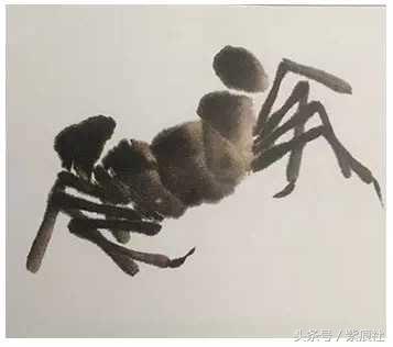 一学就会的简单画,画螃蟹怎么画
