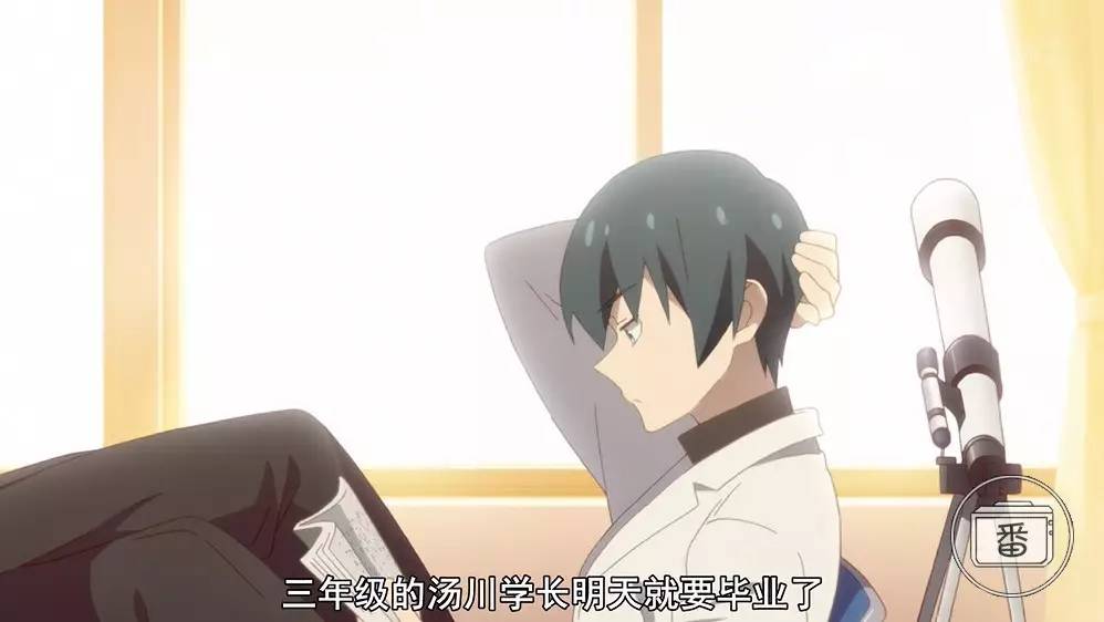 今年最虐狗的日本动画片,最虐狗动漫日本