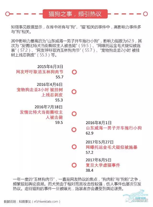 铲屎官大揭秘！你是“猫派”还是“狗派”？