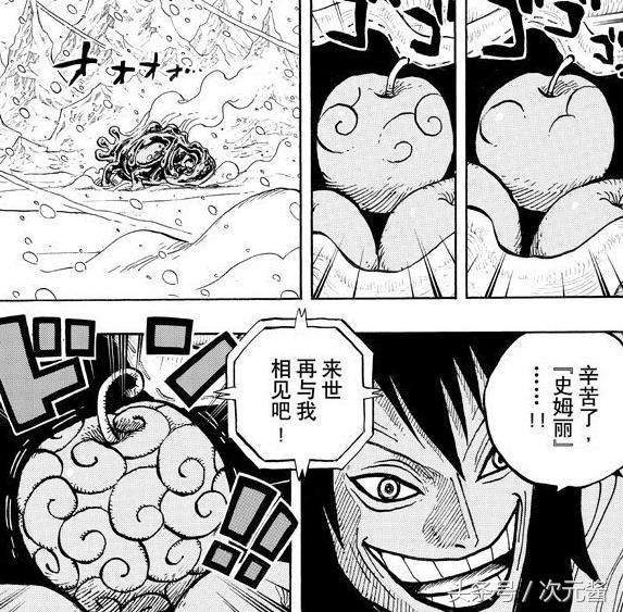 海贼王草帽团为什么没有索隆,盘点草帽海贼团最适合的恶魔果实