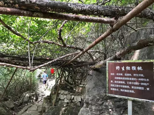 距京160公里，山水面积达5km²，双泉汇流誉为“十里画廊”