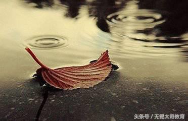 怎样提高考试效力的方法,全国司法考试通过率