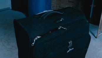 荐剧｜做不了最美花仙子，那就做一只最最欢脱的奇葩吧