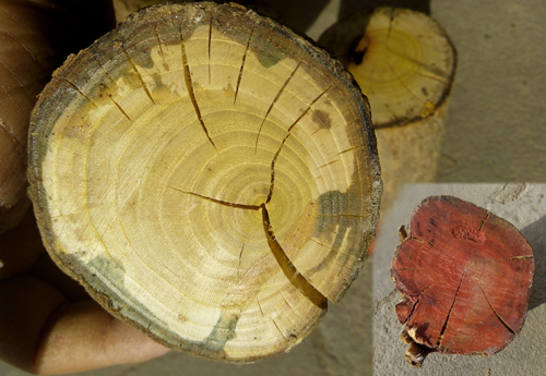 文玩是穷人玩的吗,适合穷人的文玩