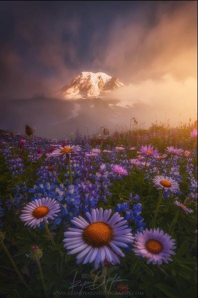 姊︿腑绉樺,姊﹂噷绉樺