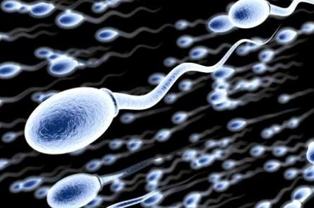 伢妈八卦：汪峰闺女出生，教你如何喜得千金