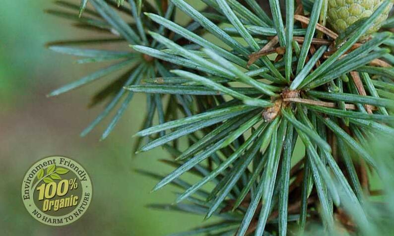 芳香大百科常用精油介绍,各类精油成分功效