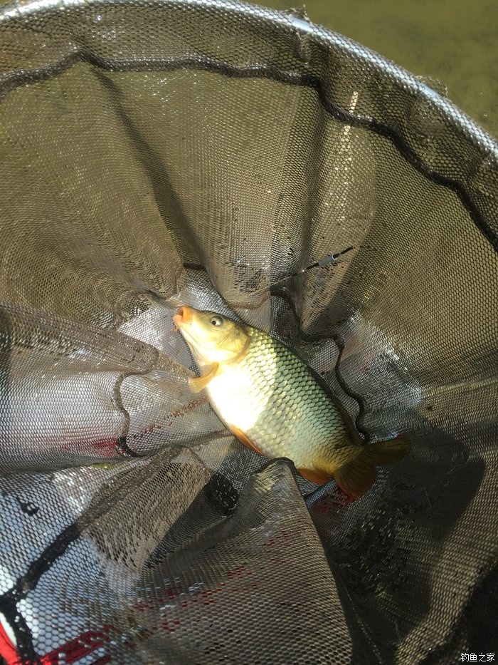 15尺武天k初试水