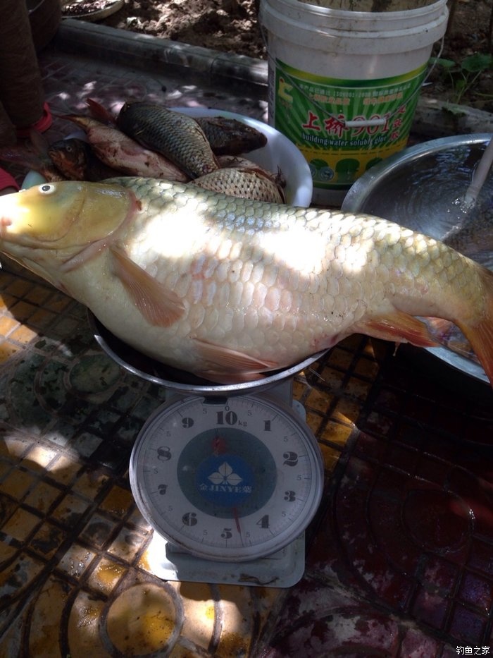 宁夏人钓鱼,黄河钓鱼的人多吗