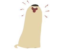 他花了四年时间，寻觅心中的香格里拉