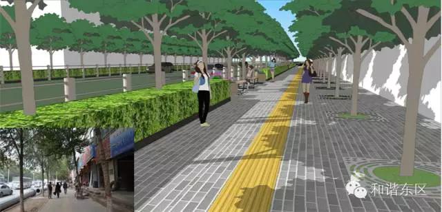 东区绿道,东部新区绿道