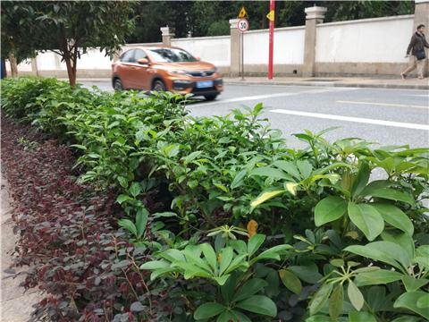 小米4s性价比高吗,小米4s值得入手吗