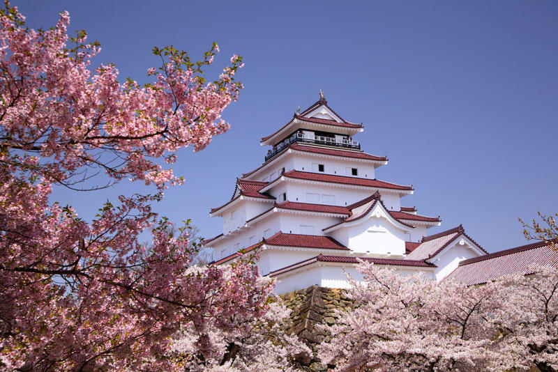 到底哪里才是12星座最不可辜负的樱花祭（上）