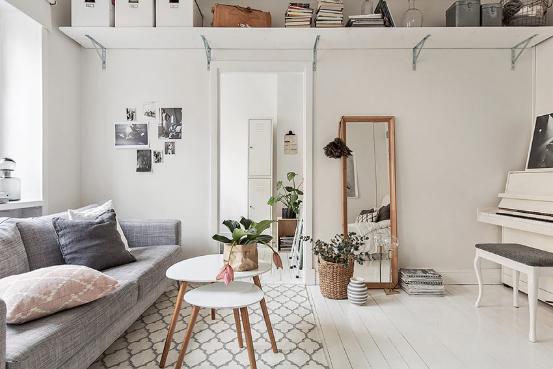 除新房异味用什么植物,新房里有异味的植物