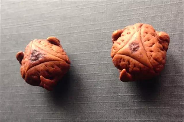 凤眼兄弟,凤眼菩提的兄弟姐妹们都是谁