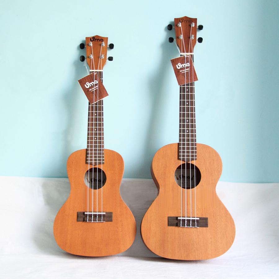 老年人学哪种乐器简单易学,最简单易学的乐器排行