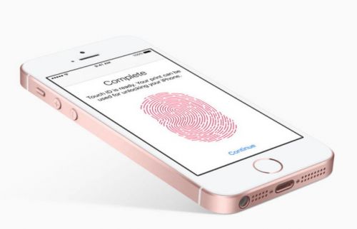 iphonese依旧强势受欢迎,iphonese横空出世