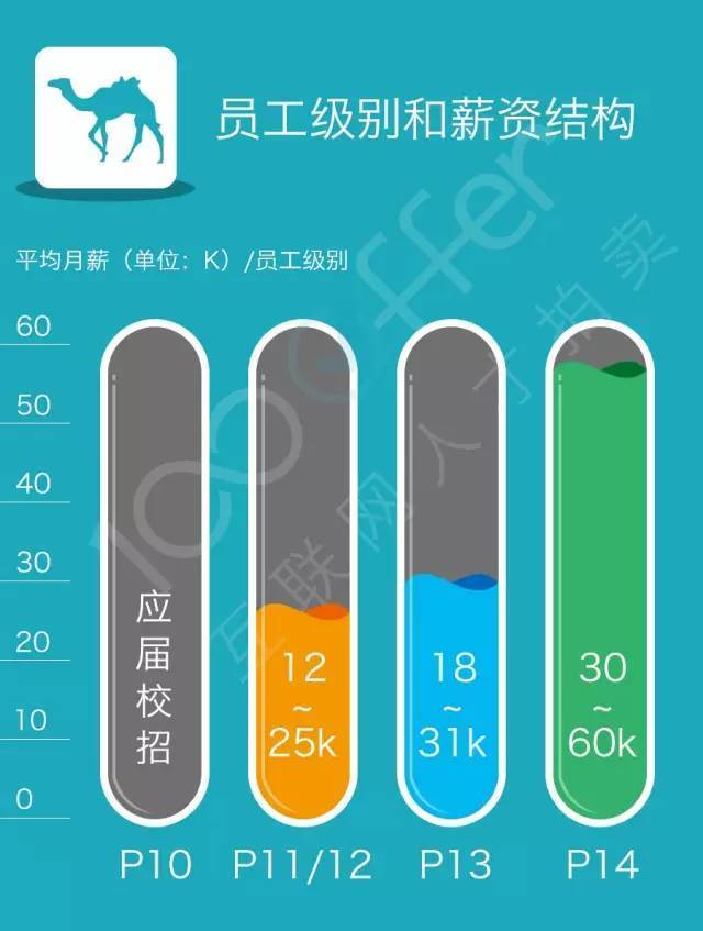 大数据：美团去哪儿奇虎360独角兽公司技术薪资分析