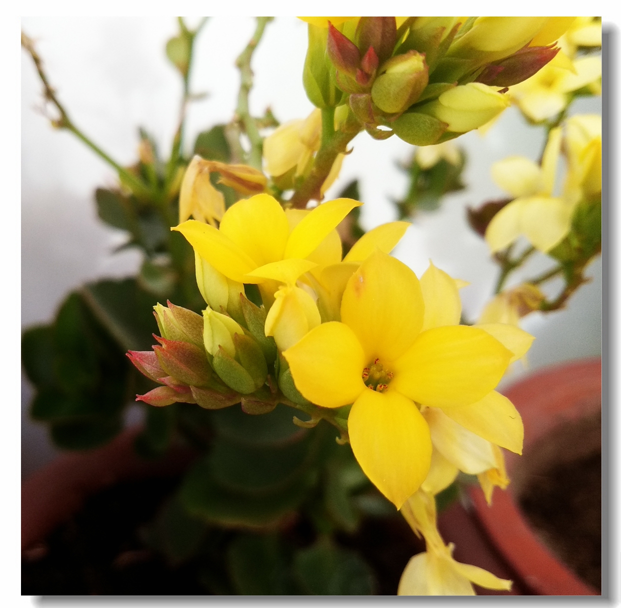 海信a151测评,海信a100评测