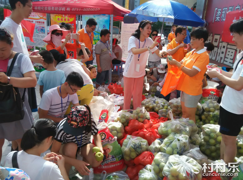 走进企业家了解企业家,乡村振兴企业家深入基层一线