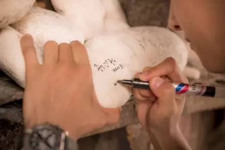 想睡宋仲基有什么错？！