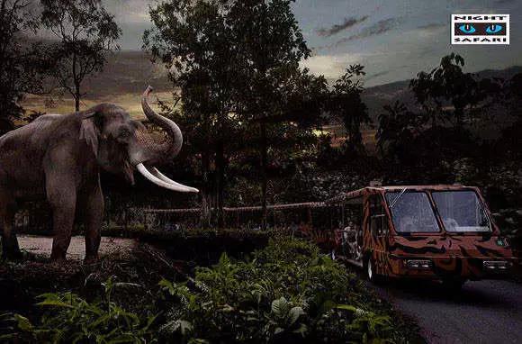 看动物的地方推荐,看动物去哪里的动物园最好