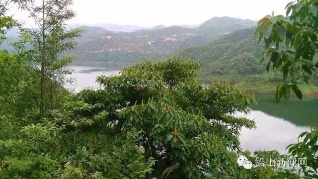 铅山县美食排行榜前十名,铅山美食公众号