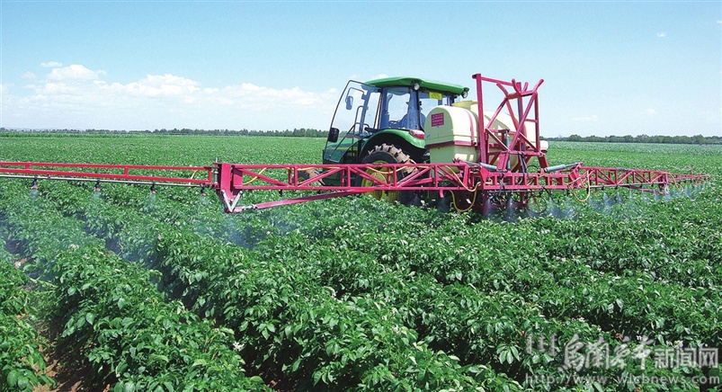 促进农民增收农业增效,商都县乡村振兴最新情况