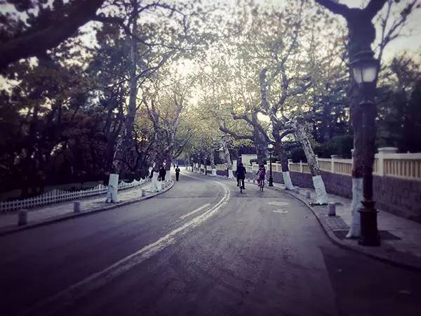 城事|青岛人都不知道，原来八大关还有这么大的秘密