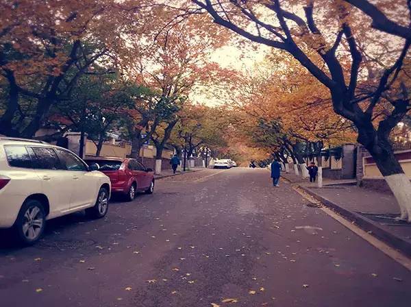 城事|青岛人都不知道，原来八大关还有这么大的秘密