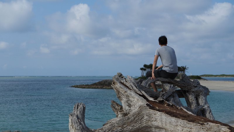 奥林巴斯相机镜头参数,奥林巴斯penf实拍样张