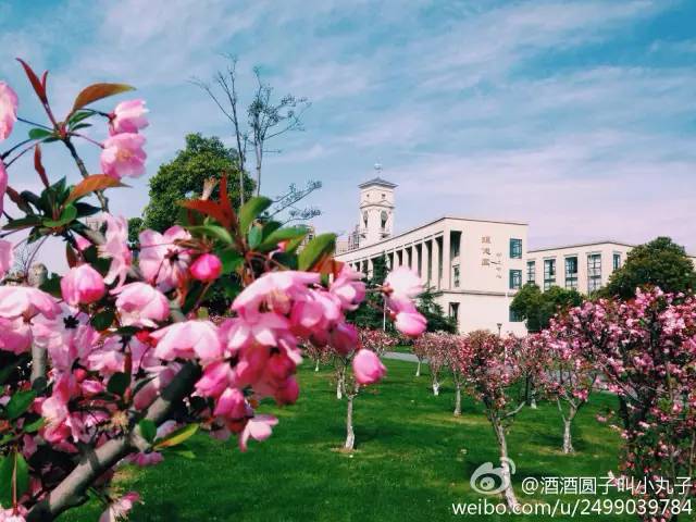 北仑区最贵的幼儿园,宁波北仑最贵的学校